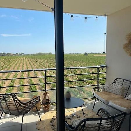 Appartement Vue Vigne Perpignan Eksteriør billede