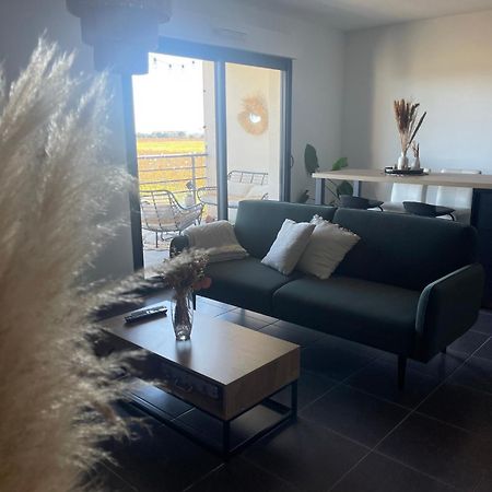 Appartement Vue Vigne Perpignan Eksteriør billede