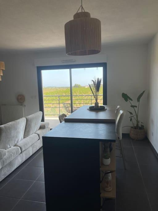 Appartement Vue Vigne Perpignan Eksteriør billede