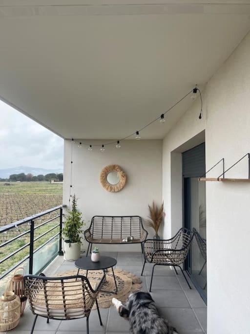 Appartement Vue Vigne Perpignan Eksteriør billede