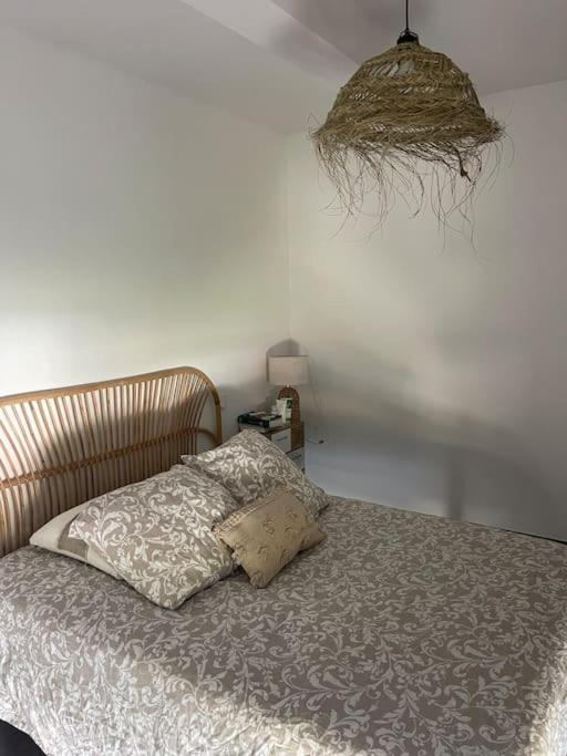 Appartement Vue Vigne Perpignan Eksteriør billede