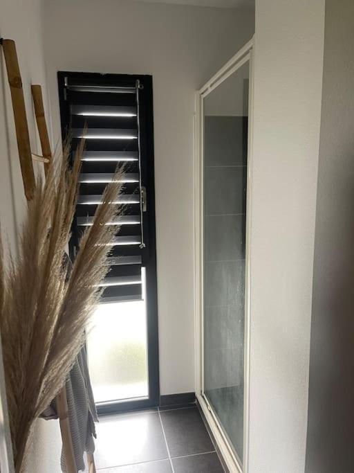 Appartement Vue Vigne Perpignan Eksteriør billede