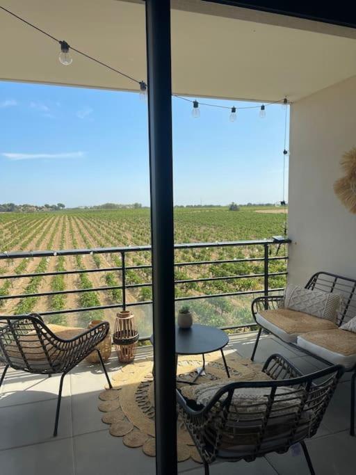 Appartement Vue Vigne Perpignan Eksteriør billede