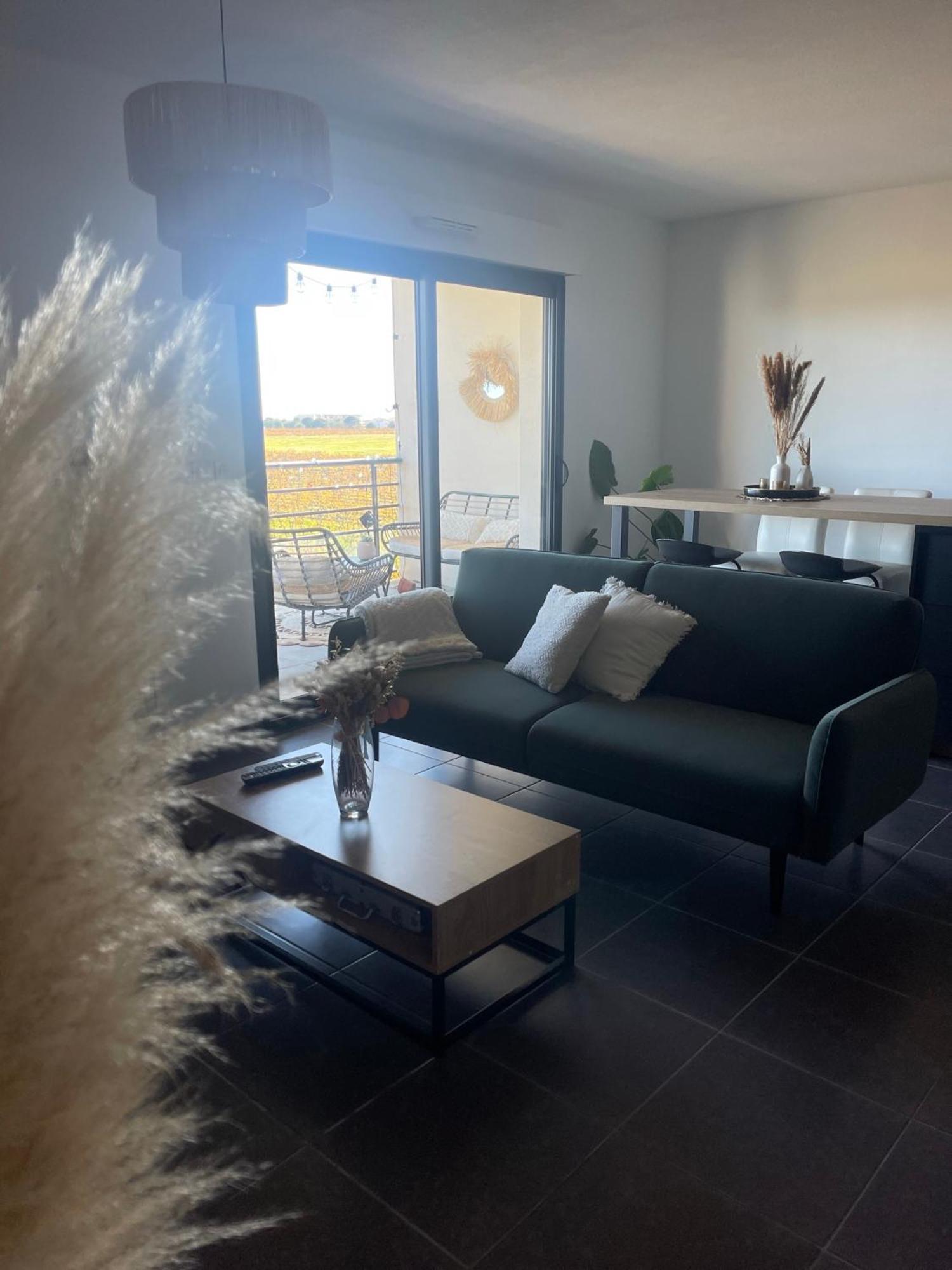 Appartement Vue Vigne Perpignan Eksteriør billede